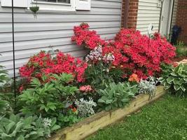 featured image of 153 Marlow St Sw