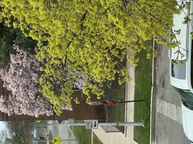 4058 W Dickens Ave #2D - Photo 2 of 10