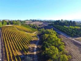 featured image of 39850 Kapalua Way