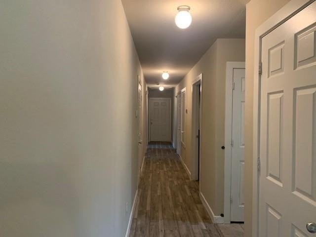 3226 Navaro St - Photo 3 of 18