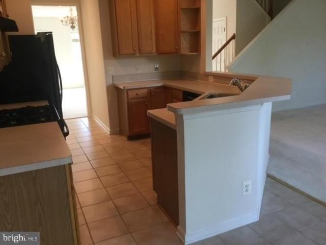 13416 Midnight Blue Pl - Photo 3 of 21