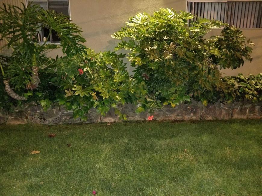 21126 Costanso St - Photo 4 of 10