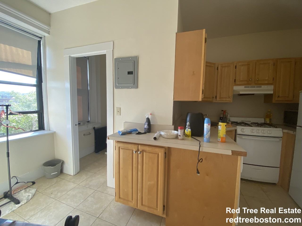 23 Brighton Ave #5 - Photo 4 of 18
