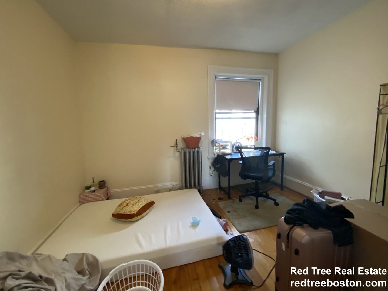 23 Brighton Ave #5 - Photo 7 of 18