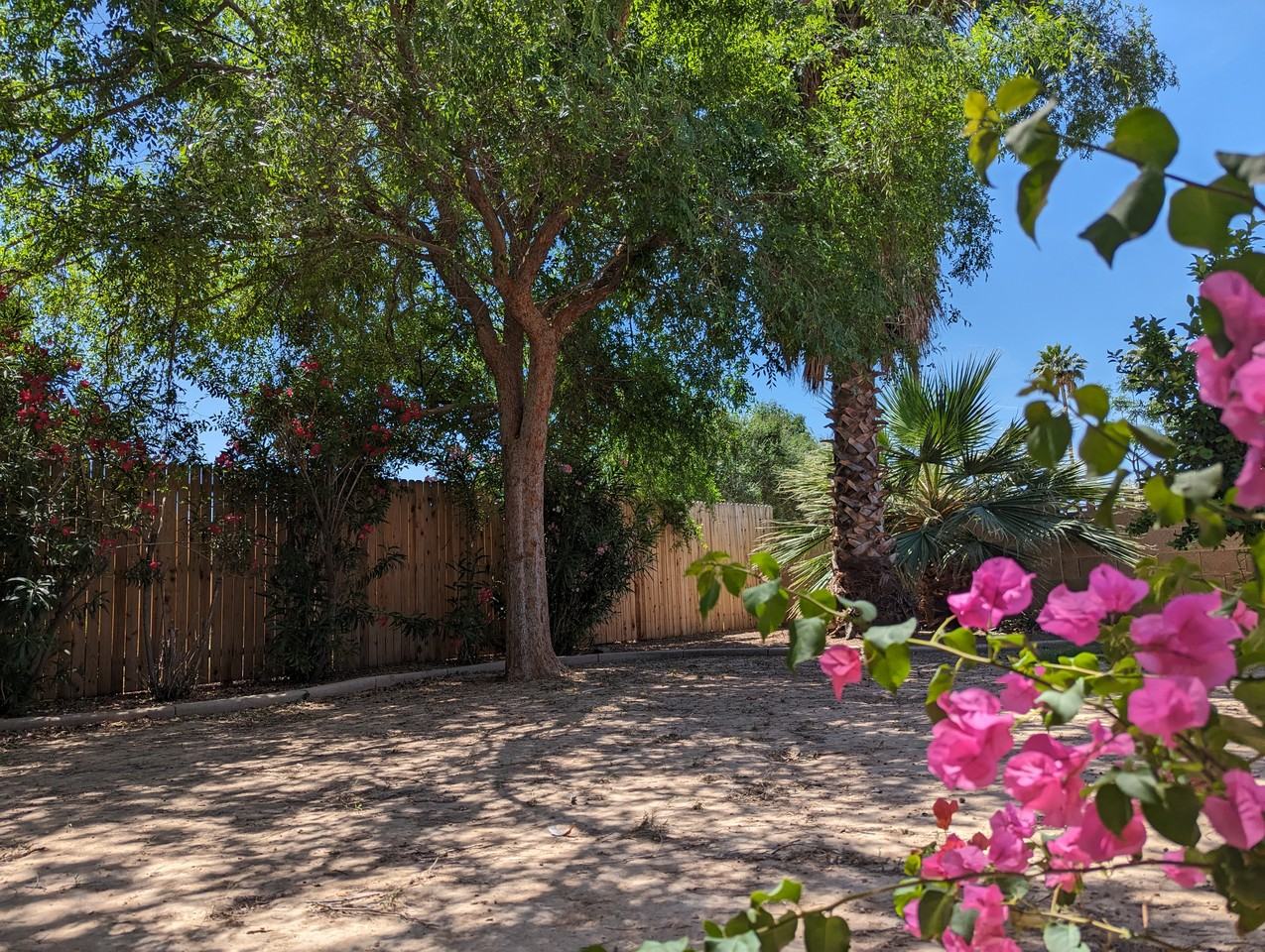 2035 E Cornell Dr - Photo 5 of 50