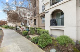 3290 Maguire Way #322 - Photo 1 of 1