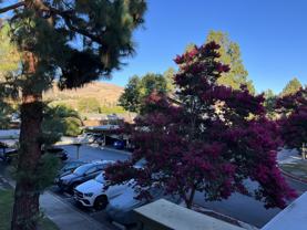 46856 Fernald Cmn #36 - Photo 1 of 1