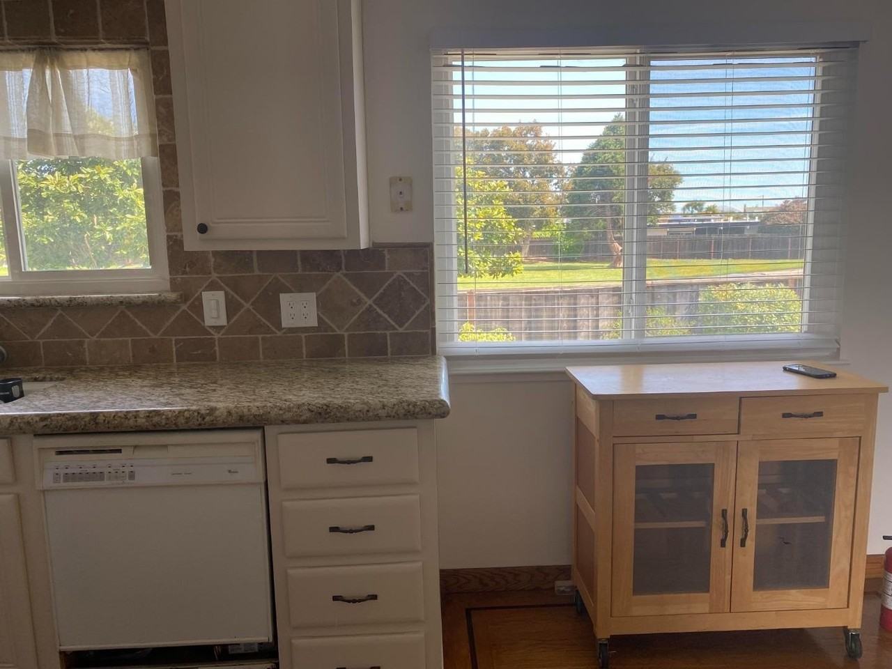 239 Killdeer Ct - Photo 6 of 18