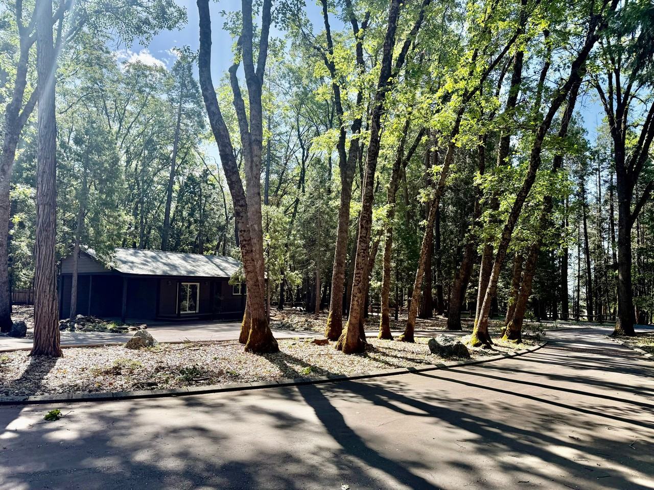 13240 Loma Rica Dr #1 - Photo 5 of 30