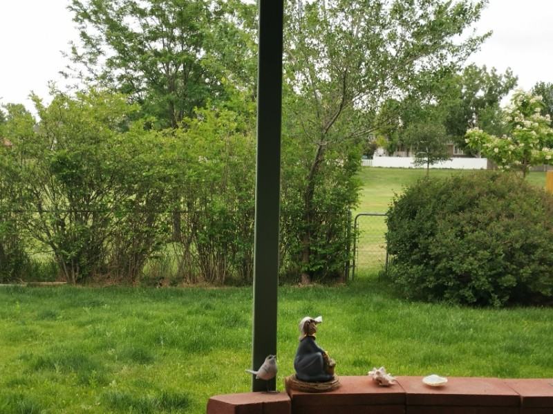 302 N 50th Avenue Pl - Photo 3 of 15