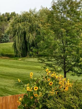 302 N 50th Avenue Pl - Photo 4 of 15