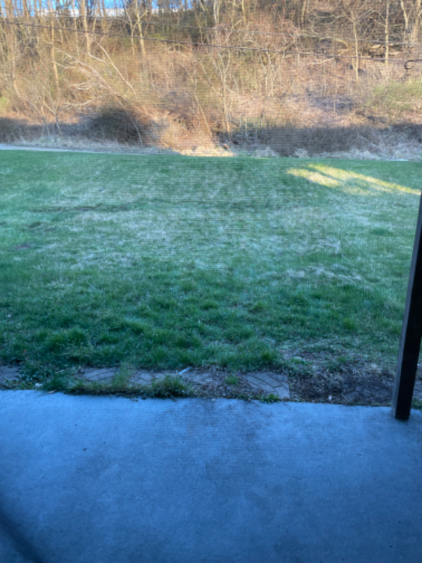 153 Palomino Dr - Photo 6 of 13