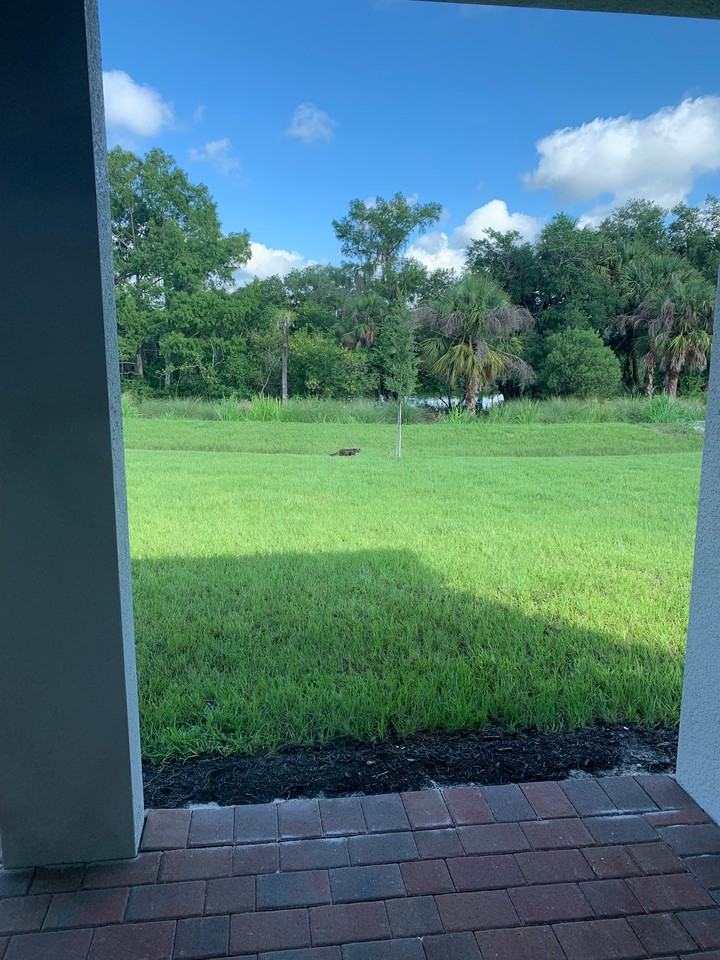 2181 Hickeys Creekside Dr - Photo 4 of 11