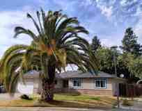 637 Grambling Ct - Photo 1 of 1