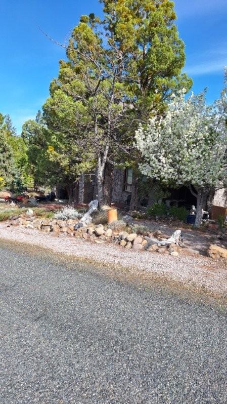 5137 Hill Dr - Photo 3 of 10