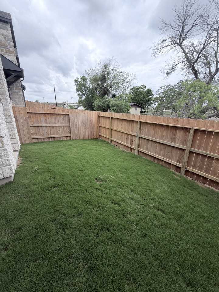 Beebrush - Photo 2 of 25