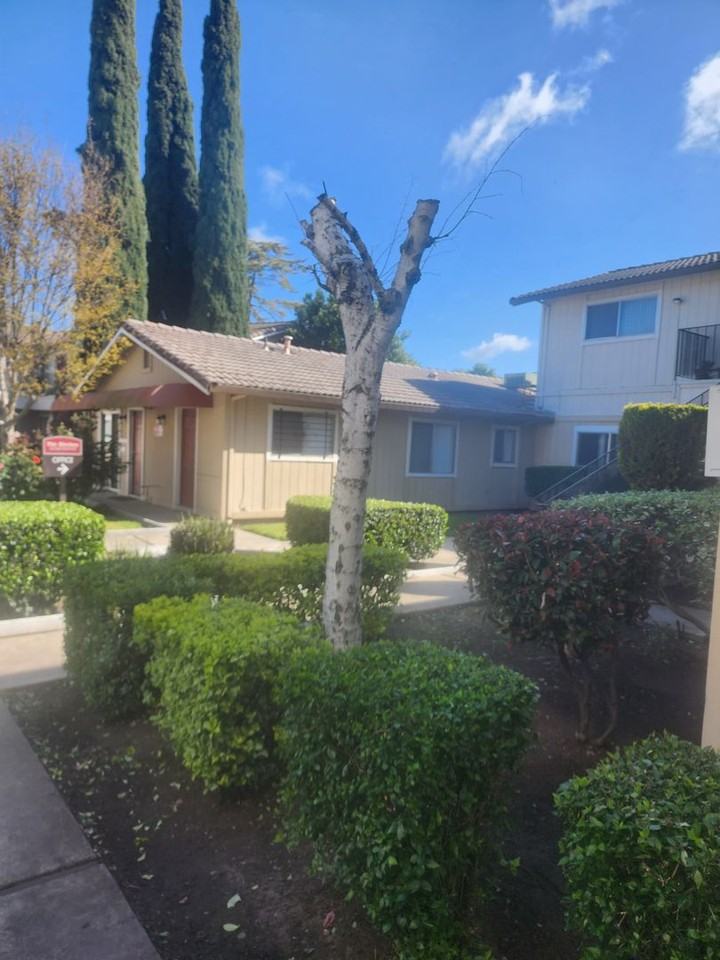 BIRCHES APTS - Photo 4 of 18