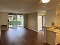 Monterey Pines - Photo 1 of 1