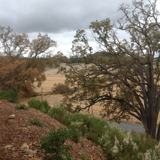 Las Lomas Village - Photo 1 of 1