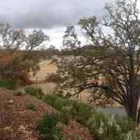 featured image of 9245 Ciruela Way