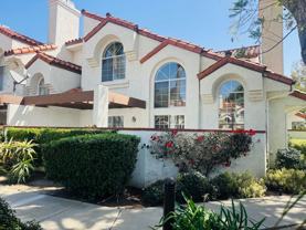 226 Camino Cortina - Photo 1 of 1