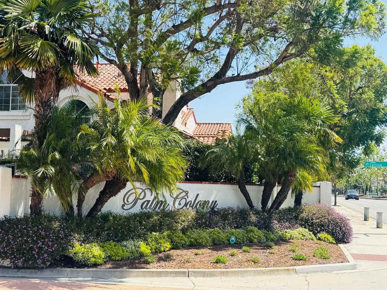 226 Camino Cortina - Photo 2 of 35