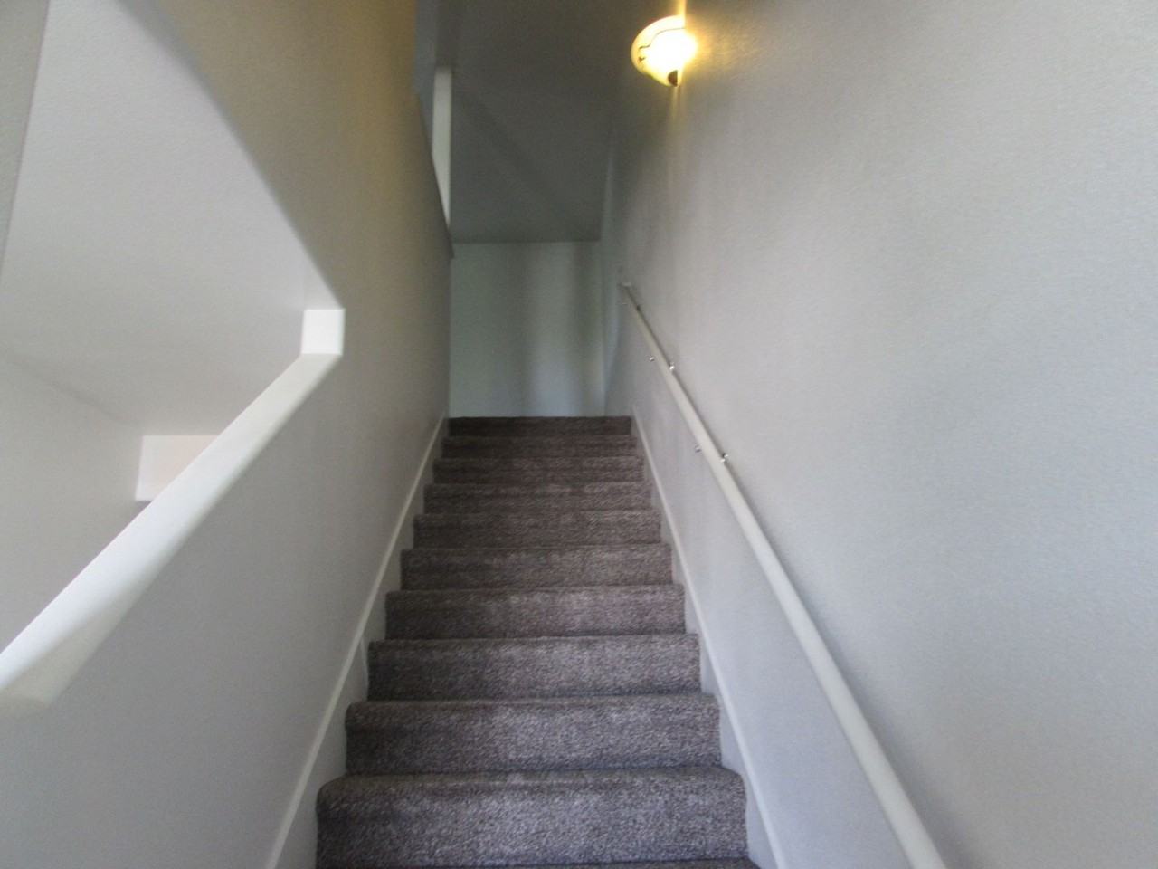 2459 Theresea Ln - Photo 6 of 20