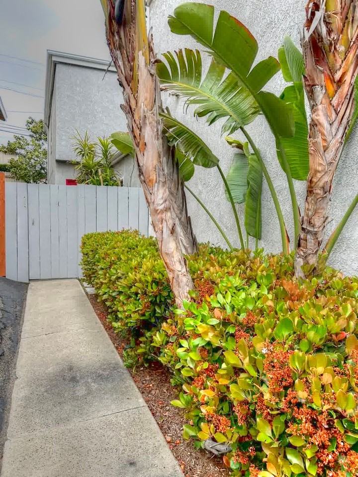 33936 Alcazar Dr - Photo 2 of 48