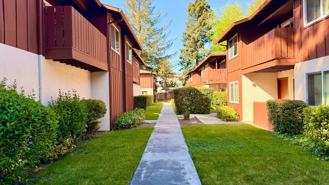 Alpine Meadows - Photo 1 of 1