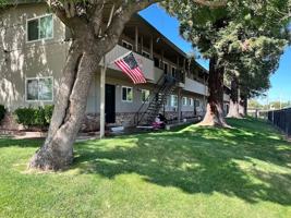 featured image of 3652 Gayle Way