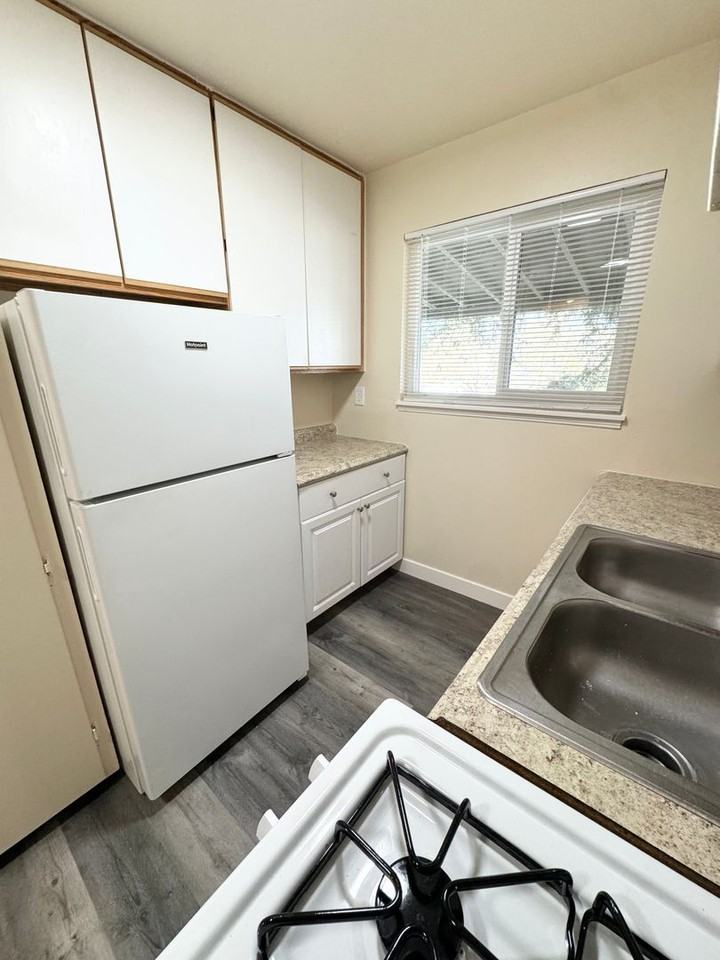 3652 Gayle Way - Photo 6 of 14