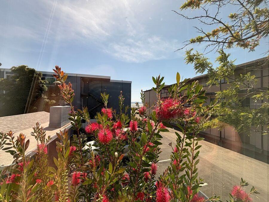 2019 Shoreline Dr #220 - Photo 7 of 23