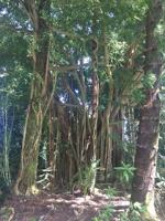 featured image of 29th Ave #A