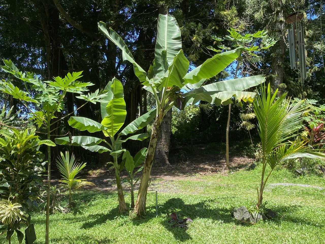 29th Ave #A - Photo 5 of 14