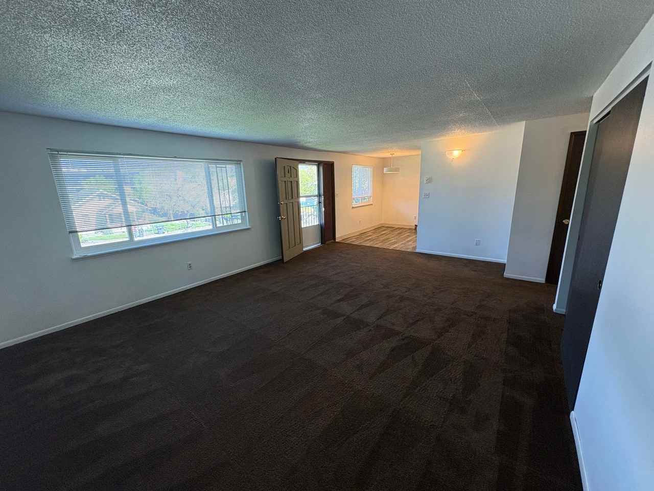 350 Alder St #4 - Photo 5 of 12