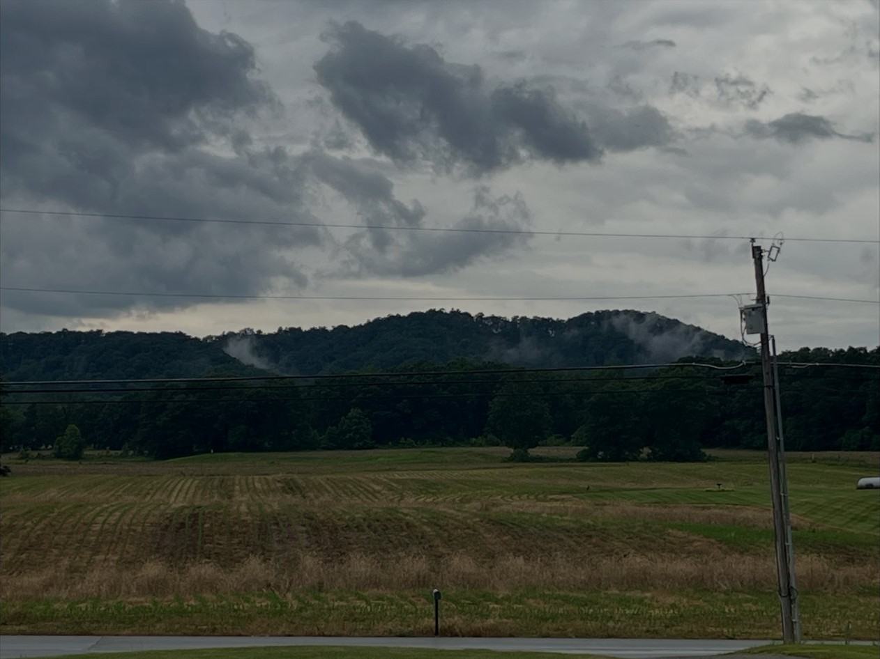 13311 Bennettsville Rd - Photo 2 of 16