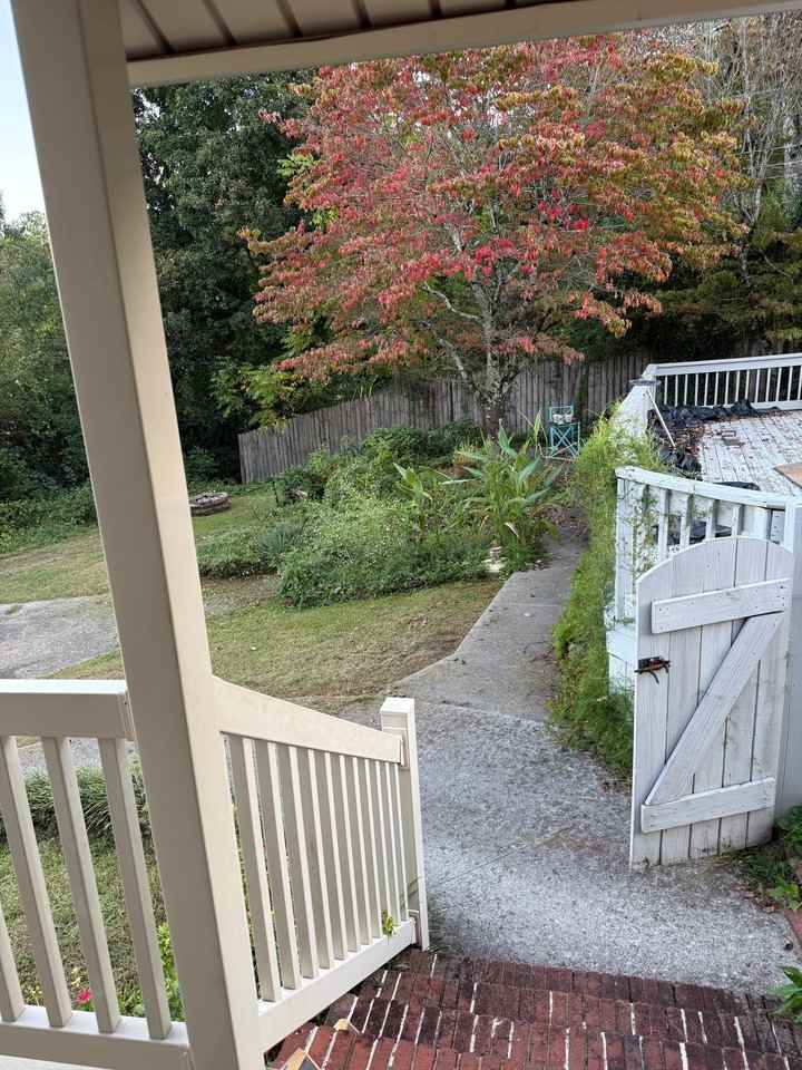 212 White Oak St - Photo 3 of 19