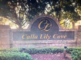 featured image of 5418 Calla Lily Ct #5418
