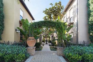 8 Iceberg Rose - Photo 1 of 1