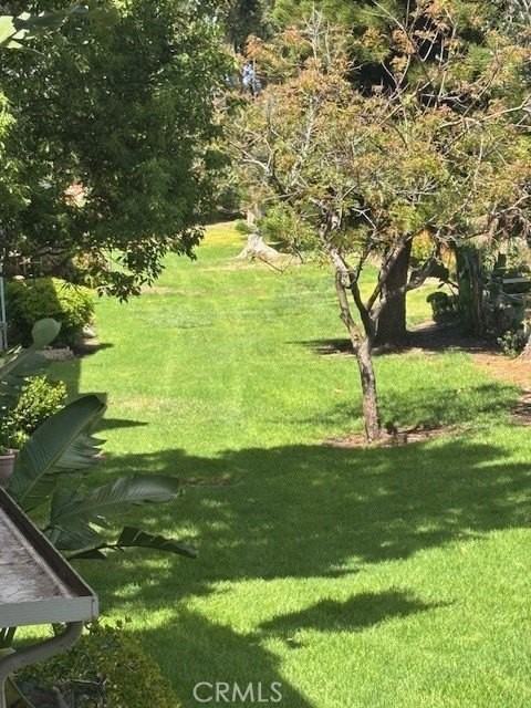 3364 Punta Alta #2B - Photo 2 of 15