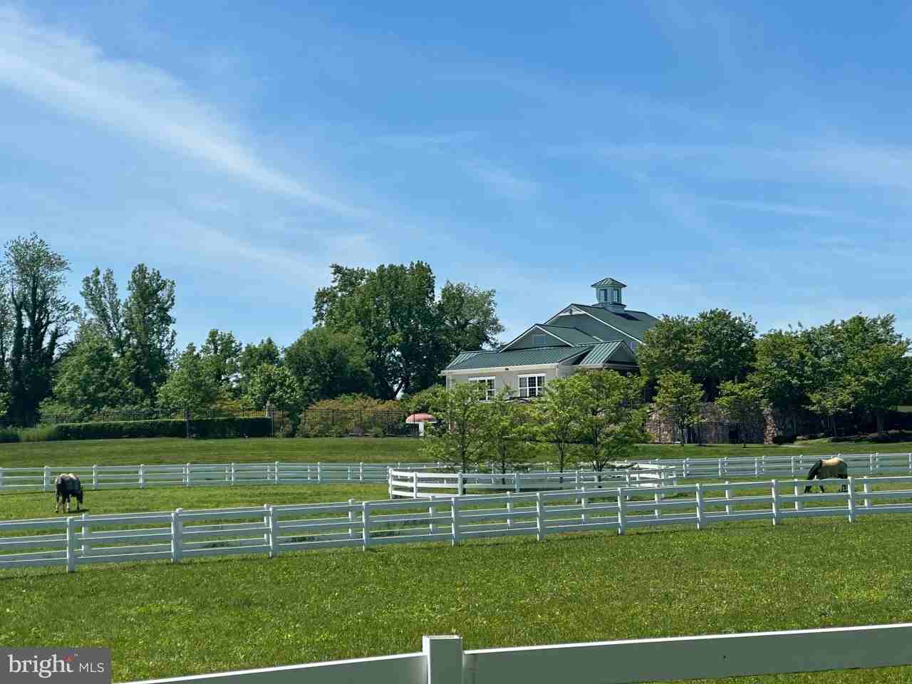 4512 Grazing Way - Photo 4 of 50