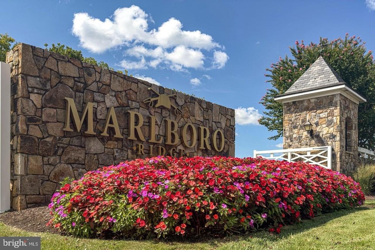 4512 Grazing Way - Photo 5 of 50