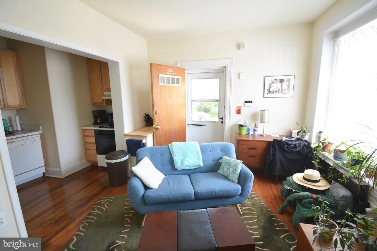 253 W Hansberry St #1F - Photo 3 of 20