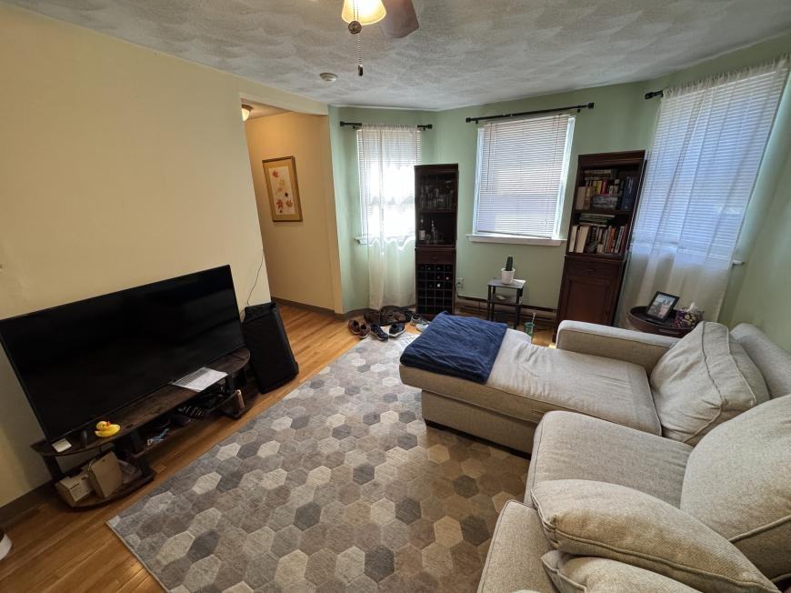 217 Holland St - Photo 4 of 10