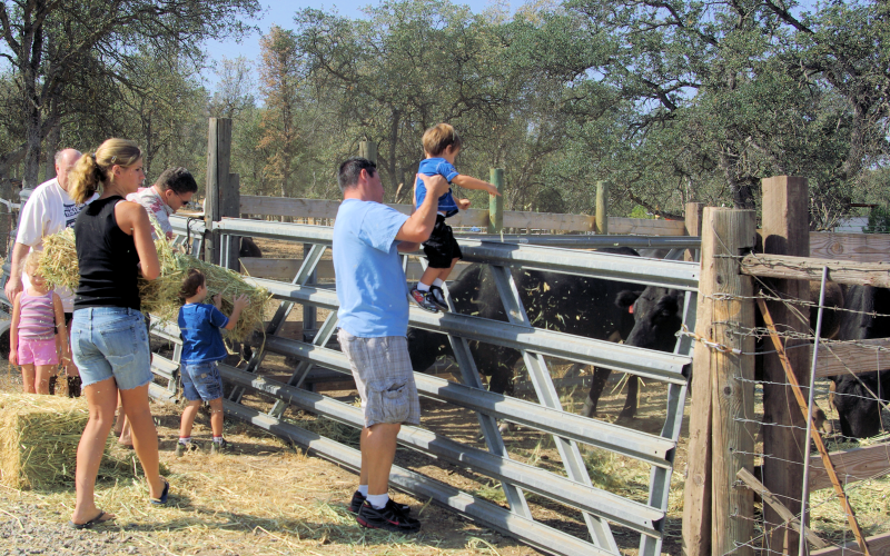 26178 Whispering Oak Ln #NA - Photo 4 of 19