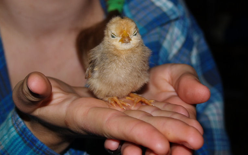 26178 Whispering Oak Ln #NA - Photo 7 of 19