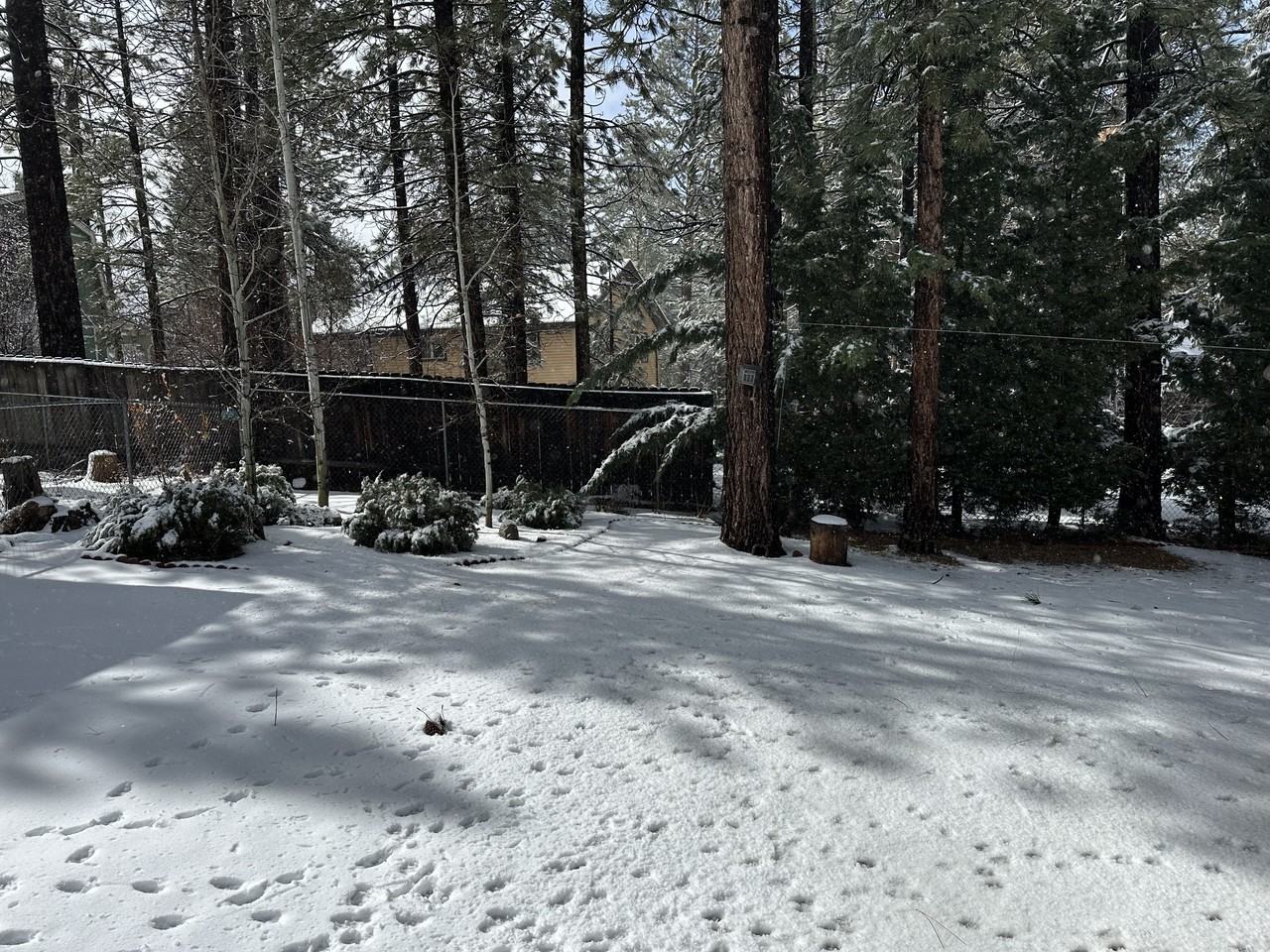 272 Santa Clara Blvd #NA - Photo 5 of 15