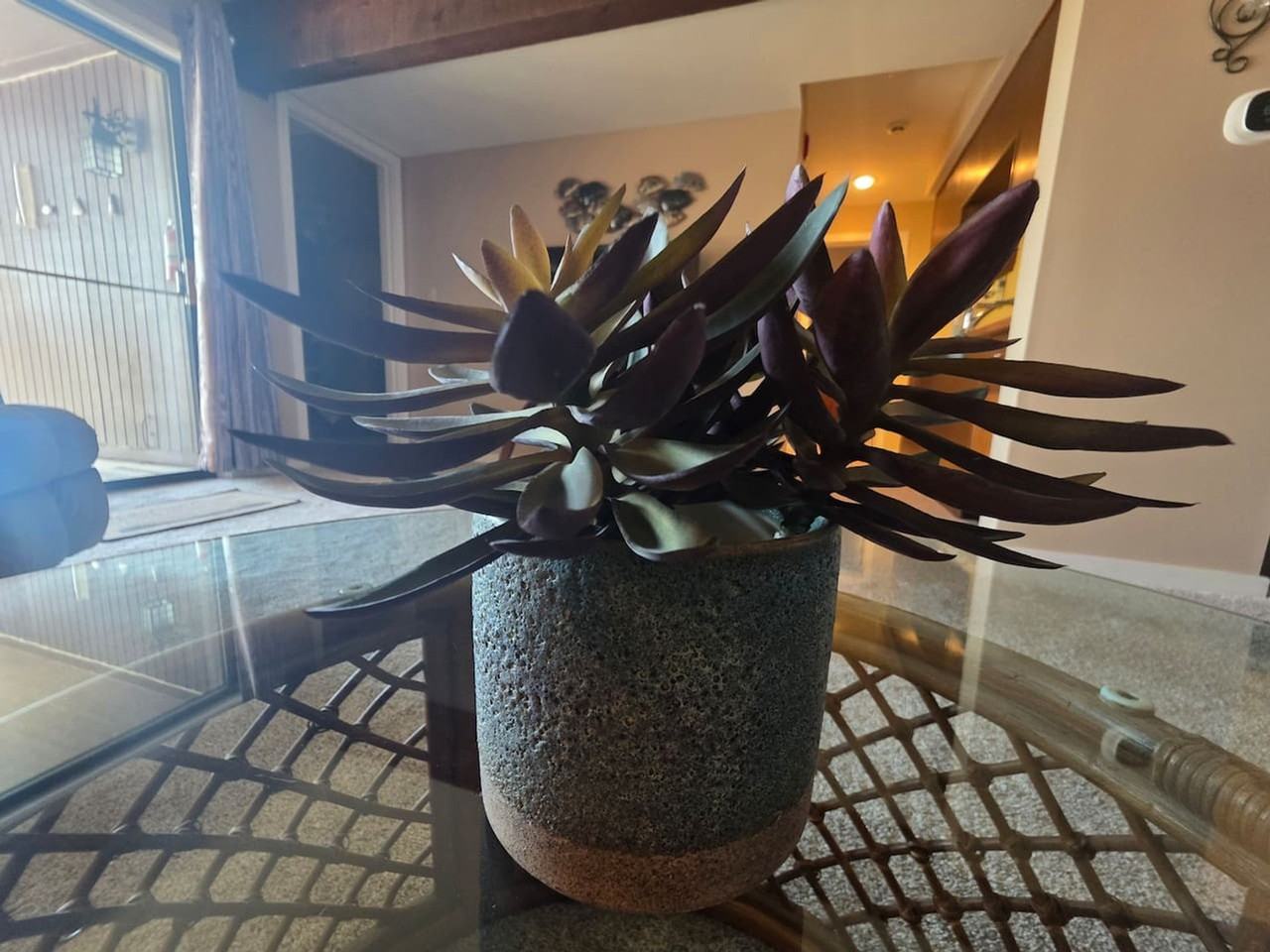 5940 Baydy Peak Rd #1515829P - Photo 3 of 50