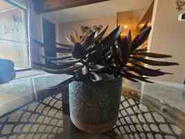 featured image of 5940 Baydy Peak Rd