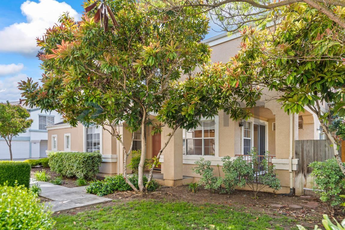 916 Del Avion Ln - Photo 2 of 31